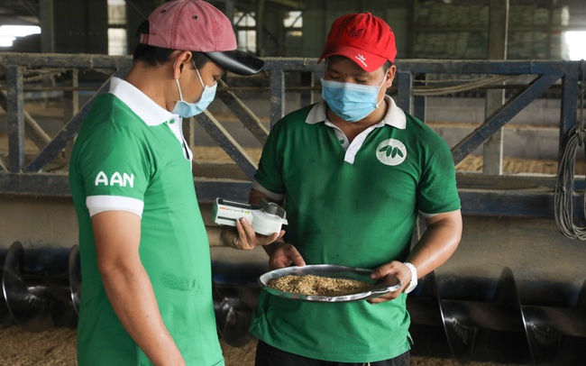 Tập đoàn Tân Long và mục tiêu phát triển hạt gạo Việt dài hạn