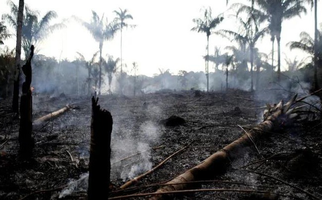 Xót xa cảnh ‘lá phổi xanh’ của trái đất bị tàn phá ở mức kinh khủng nhất trong 15 năm